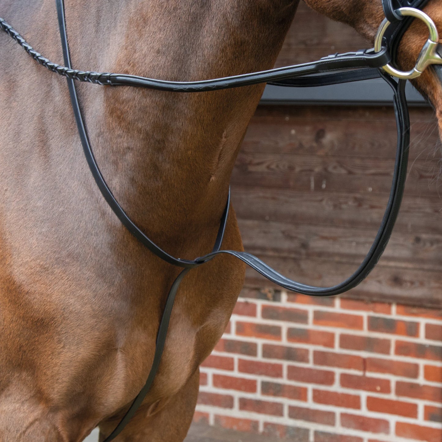 Shires Lusso Standing Martingale - Premium Leather Equestrian Horse Training Equipment