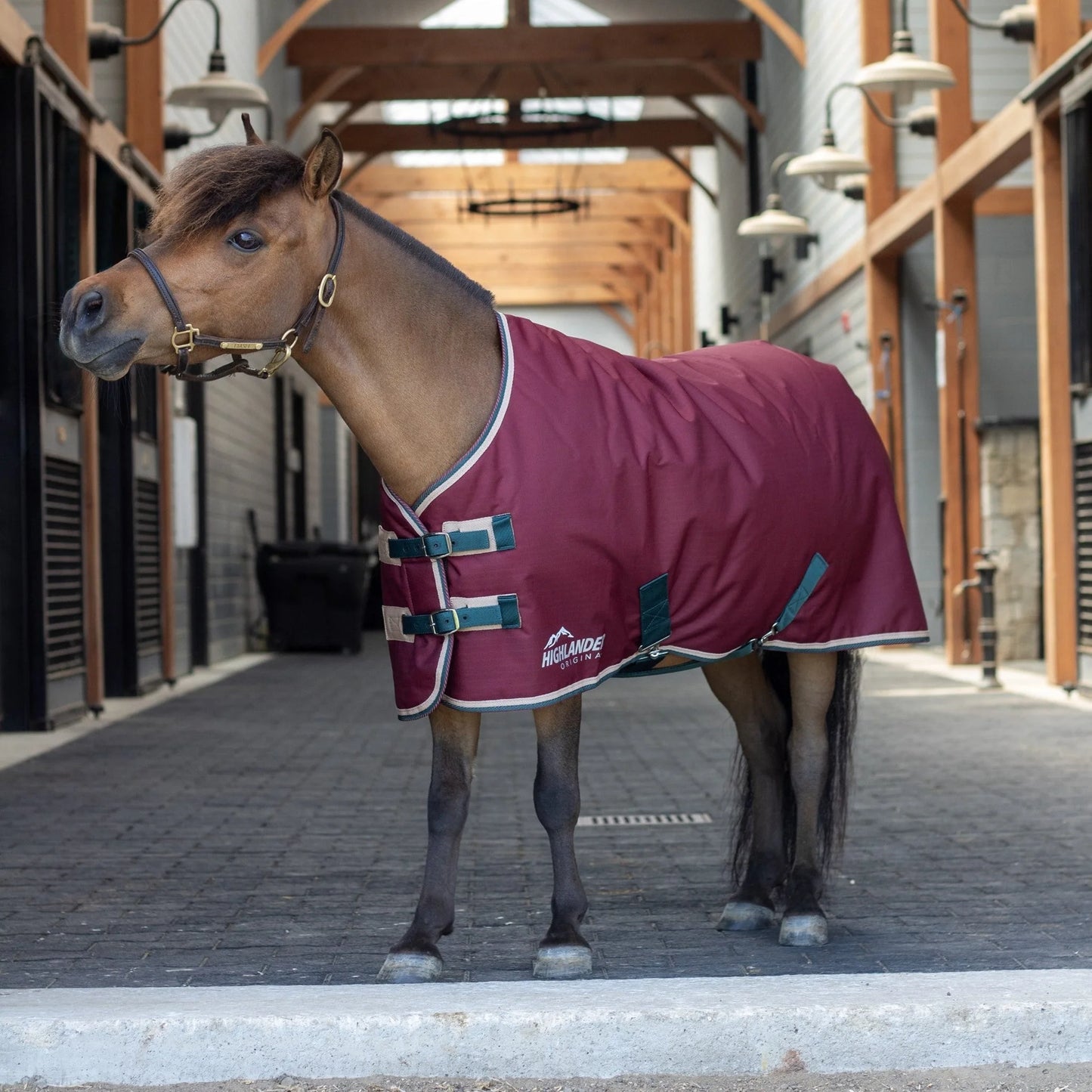 Shires Mini Highlander 200 Turnout Blanket for Miniature Horses - 200g Weight