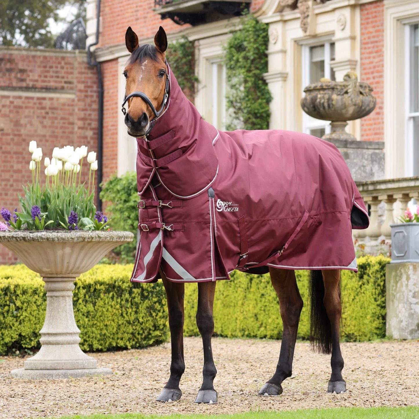 Shires Stormcheeta 200 Mediumweight Turnout Rug and Neck Set - 2000D 200g - Multiple Sizes