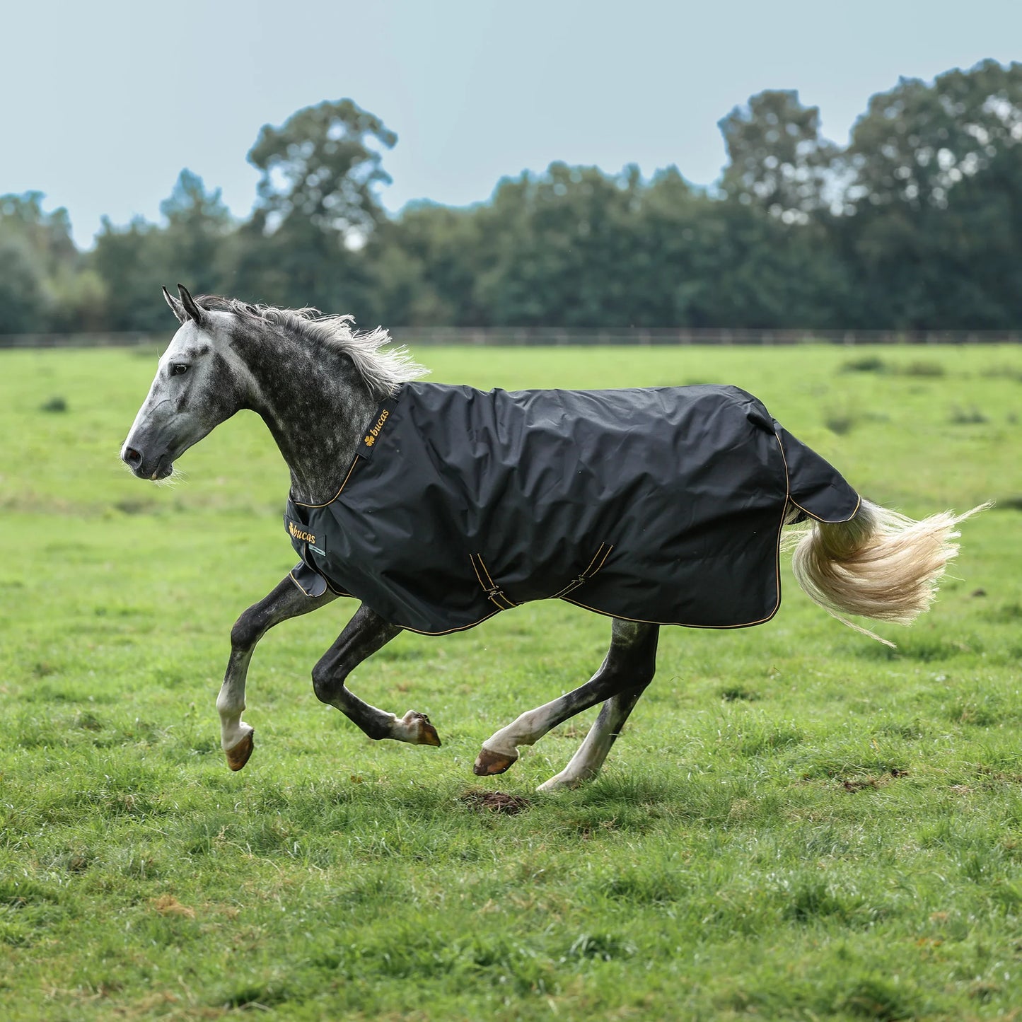 Toklat Bucas Irish Classic Turnout Sheet - Waterproof Horse Blanket - Multiple Sizes