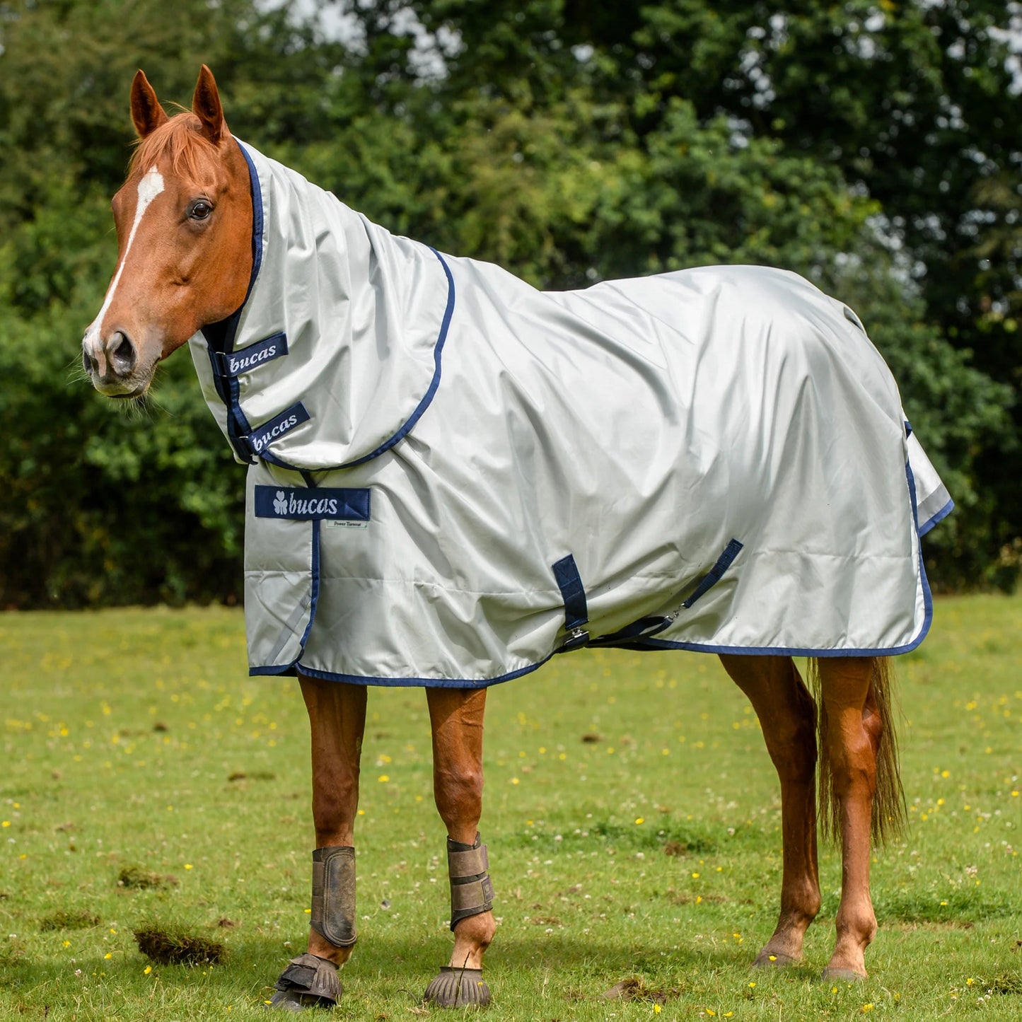Toklat Bucas Power Light Classic Turnout Horse Blanket - Multiple Sizes