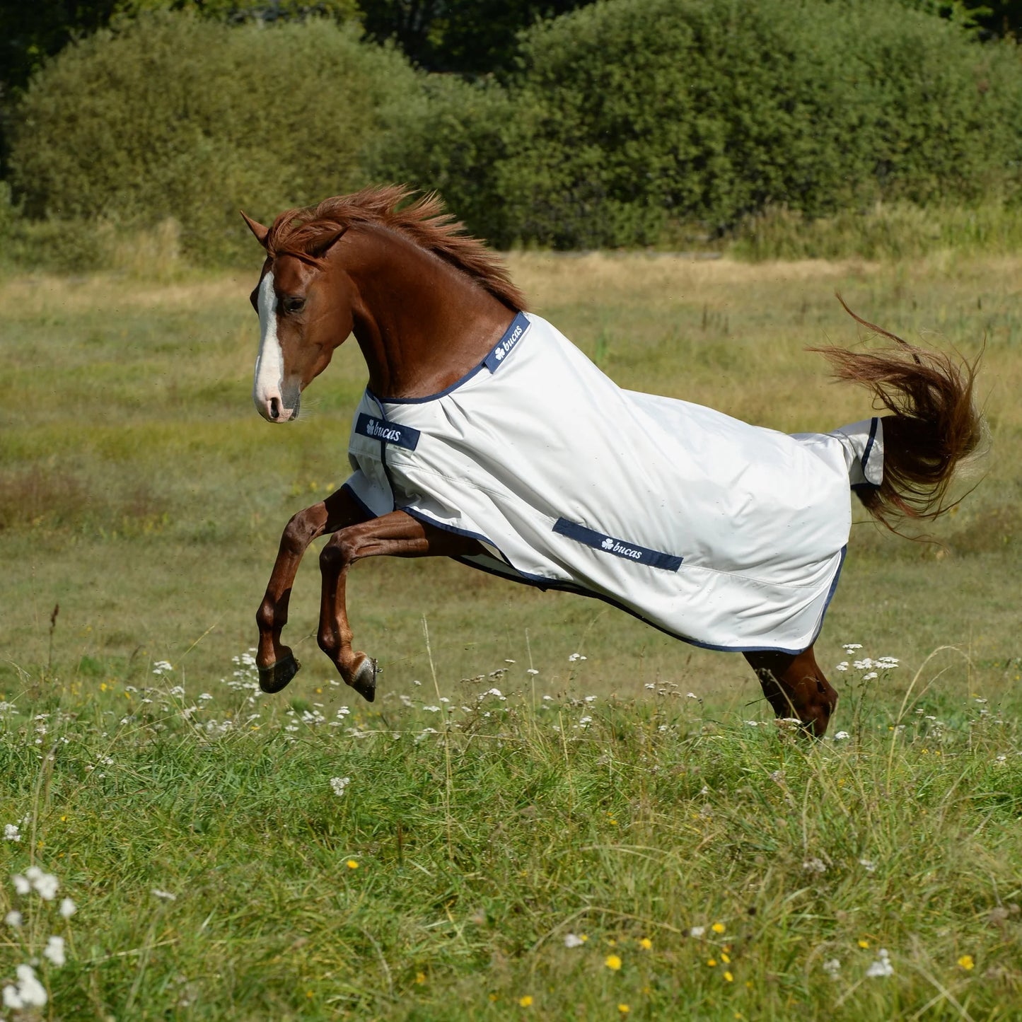 Toklat Bucas Sunshower Turnout Sheet - Lightweight Waterproof & UV Protection - Multiple Sizes