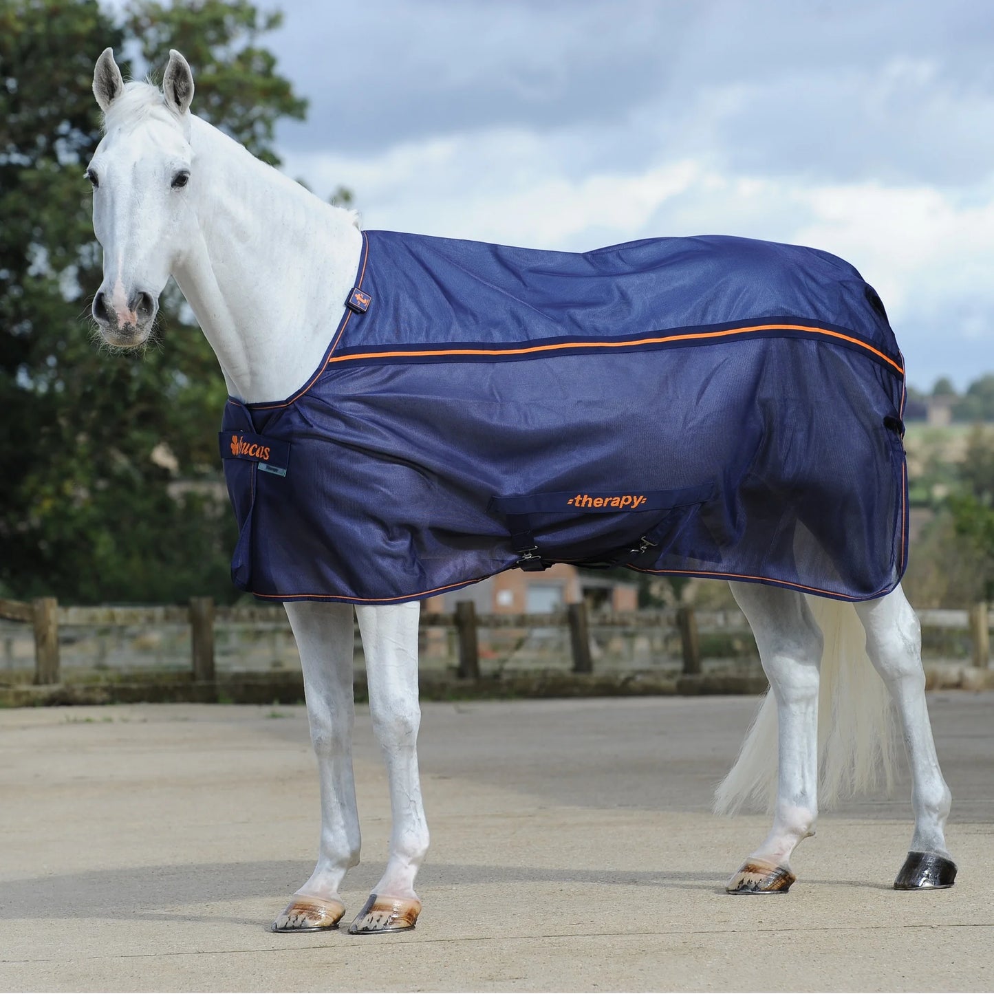 Toklat Bucas Therapy Cooler - Therapeutic Horse Sheet for Muscle Recovery and Circulation