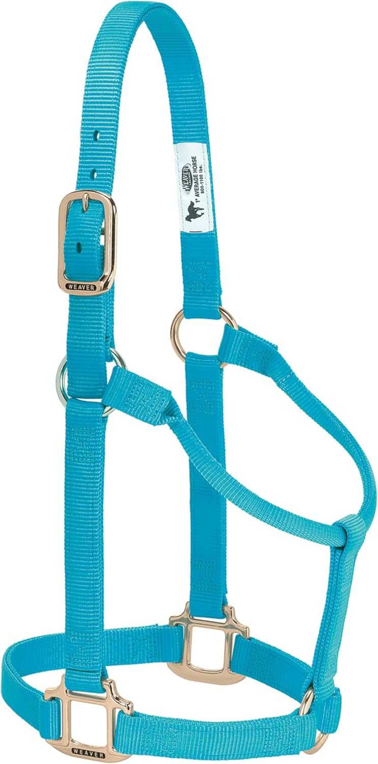 Weaver Leather Triple-Ply Nylon Halter with Solid Brass Hardware