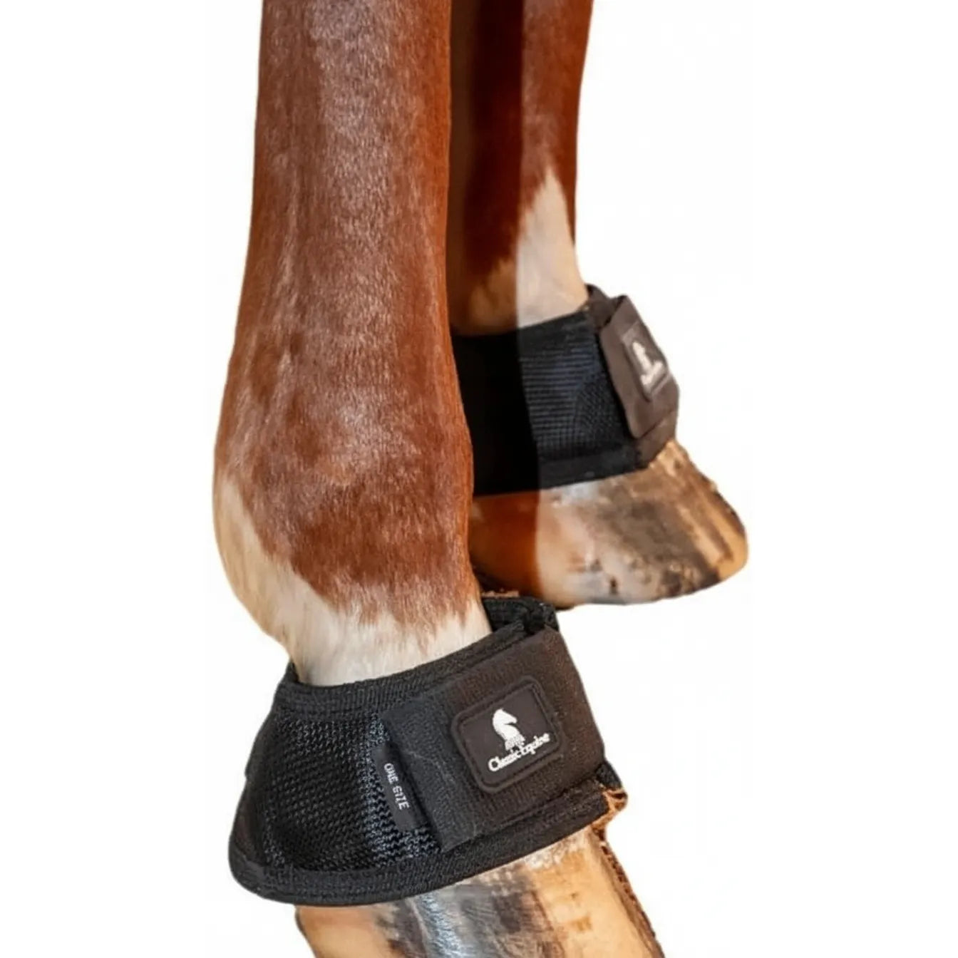 Classic Equine MagNTX Bell Boots in black mesh shown on a horse's front hooves. Designed for magnetic therapy, these boots use 1 1/2-inch bi-polar magnets to aid in hoof pain relief, navicular management, and laminitis recovery. Featuring a secure adjustable closure with the Classic Equine logo, they are essential therapeutic gear for horse health and hoof care.