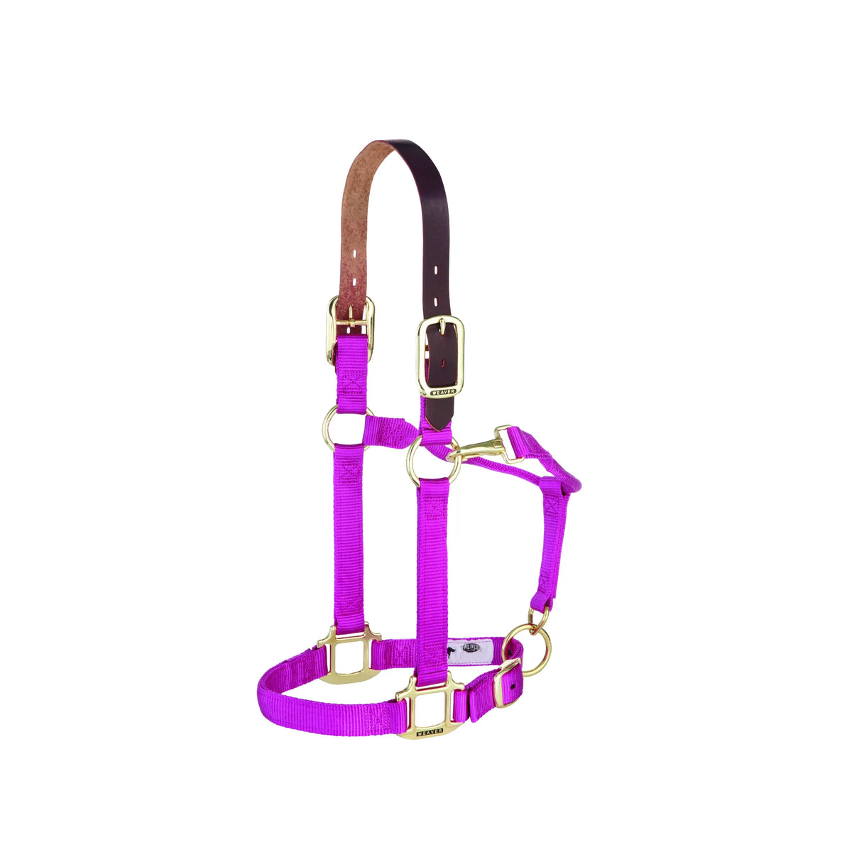Weaver Equine 1" bright purple nylon breakaway horse halter featuring a dark brown leather crownpiece for safety. This durable equestrian gear includes solid brass hardware with an adjustable chin strap and a convenient throat snap for a custom fit. High-quality purple horse halter designed for both style and safety in the stable or field.