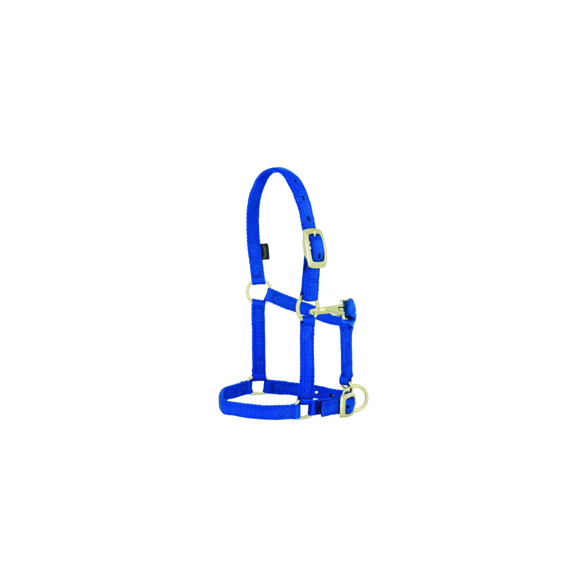 Vibrant royal blue Weaver Equine Miniature Horse Adjustable Halter crafted from 5/8" durable nylon. Features premium brass hardware, a convenient throat snap, and an adjustable crown and noseband for a customized fit. This high-quality mini horse halter is perfect for training and daily use.