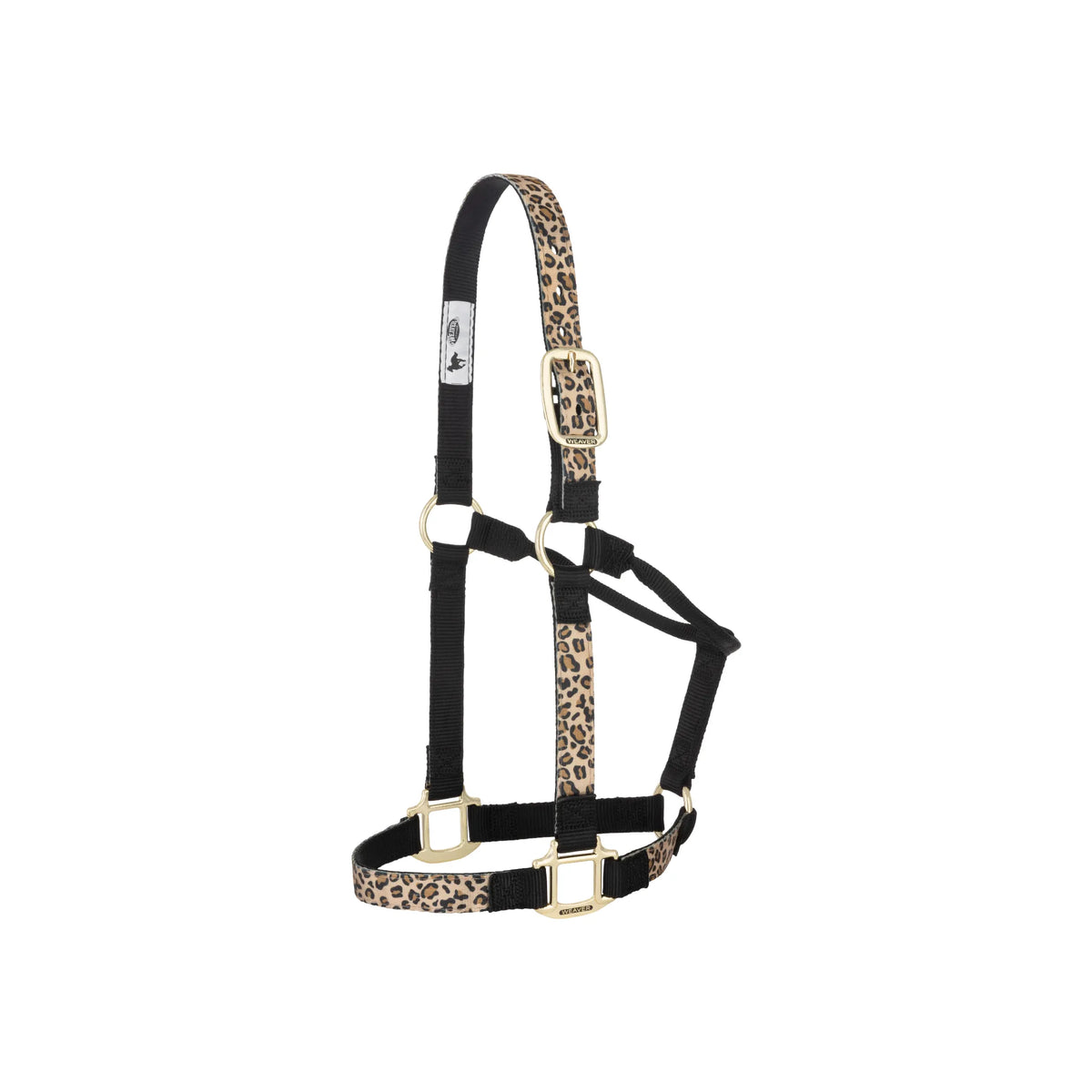 Weaver Equine leopard print nylon horse halter featuring durable double-ply webbing and stylish brass hardware. This non-adjustable halter combines comfort with a fashionable animal print pattern and a sleek black lining. A must-have piece of horse tack for equestrians looking for quality and style, perfect for daily stable use or travel.