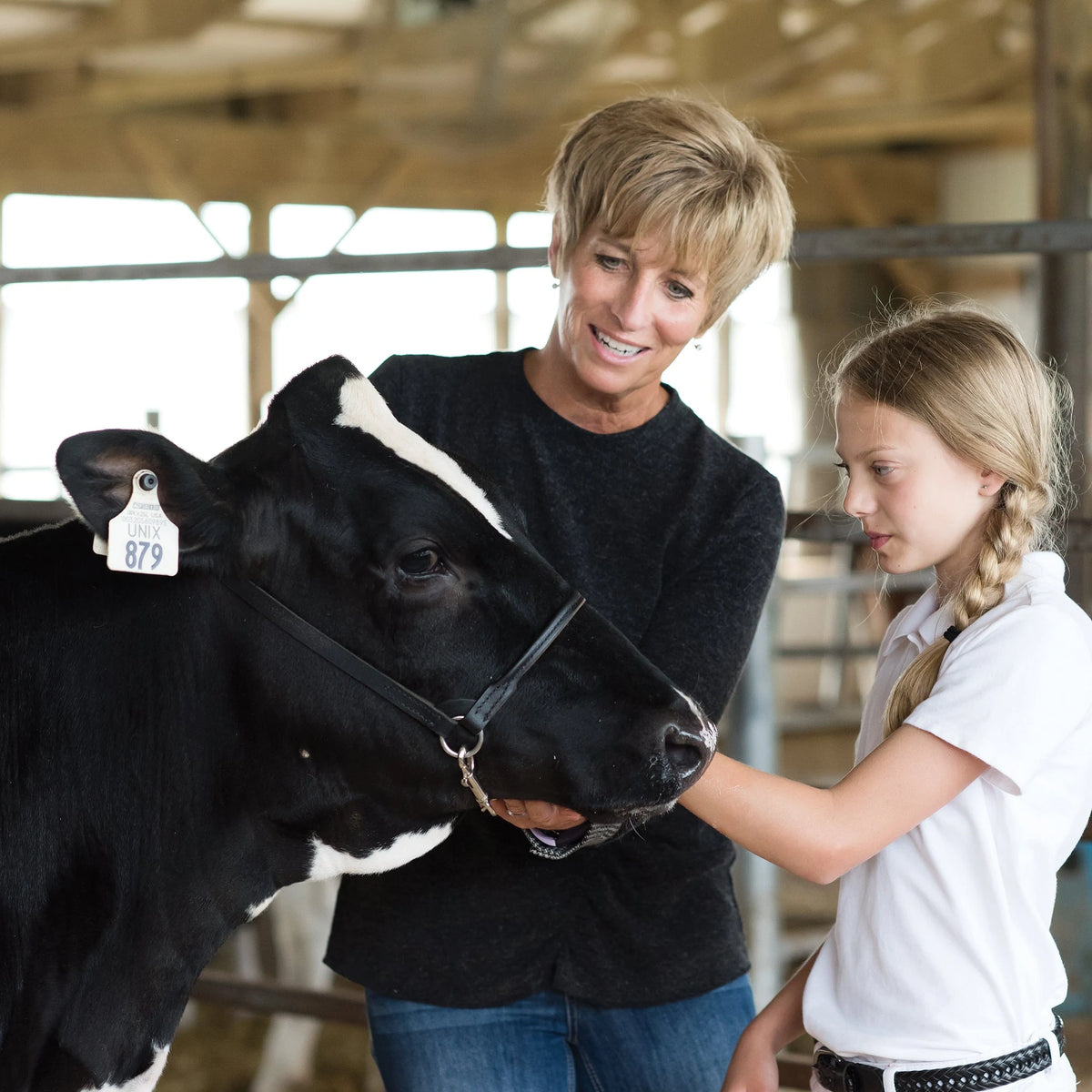 Weaver Leather Leather Dairy Show Halter