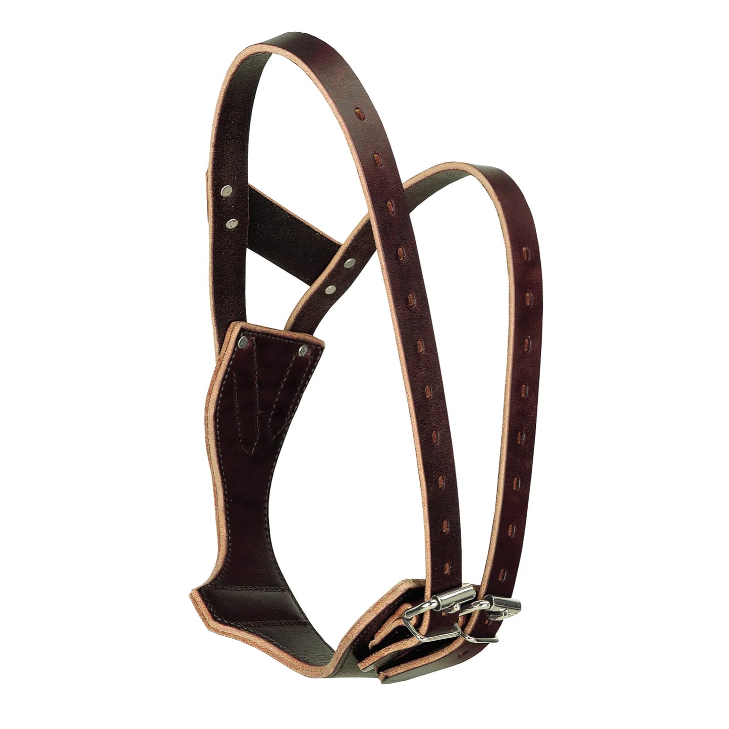 Weaver Leather Miracle Collar in deep burgundy brown leather, a humane and effective horse cribbing collar. This anti-cribbing strap features a unique patented design with adjustable double straps and chrome-plated buckles to provide a secure, comfortable fit. Specifically engineered to stop cribbing and windsucking, this durable leather horse tack is an essential tool for equine behavior management and stable health.