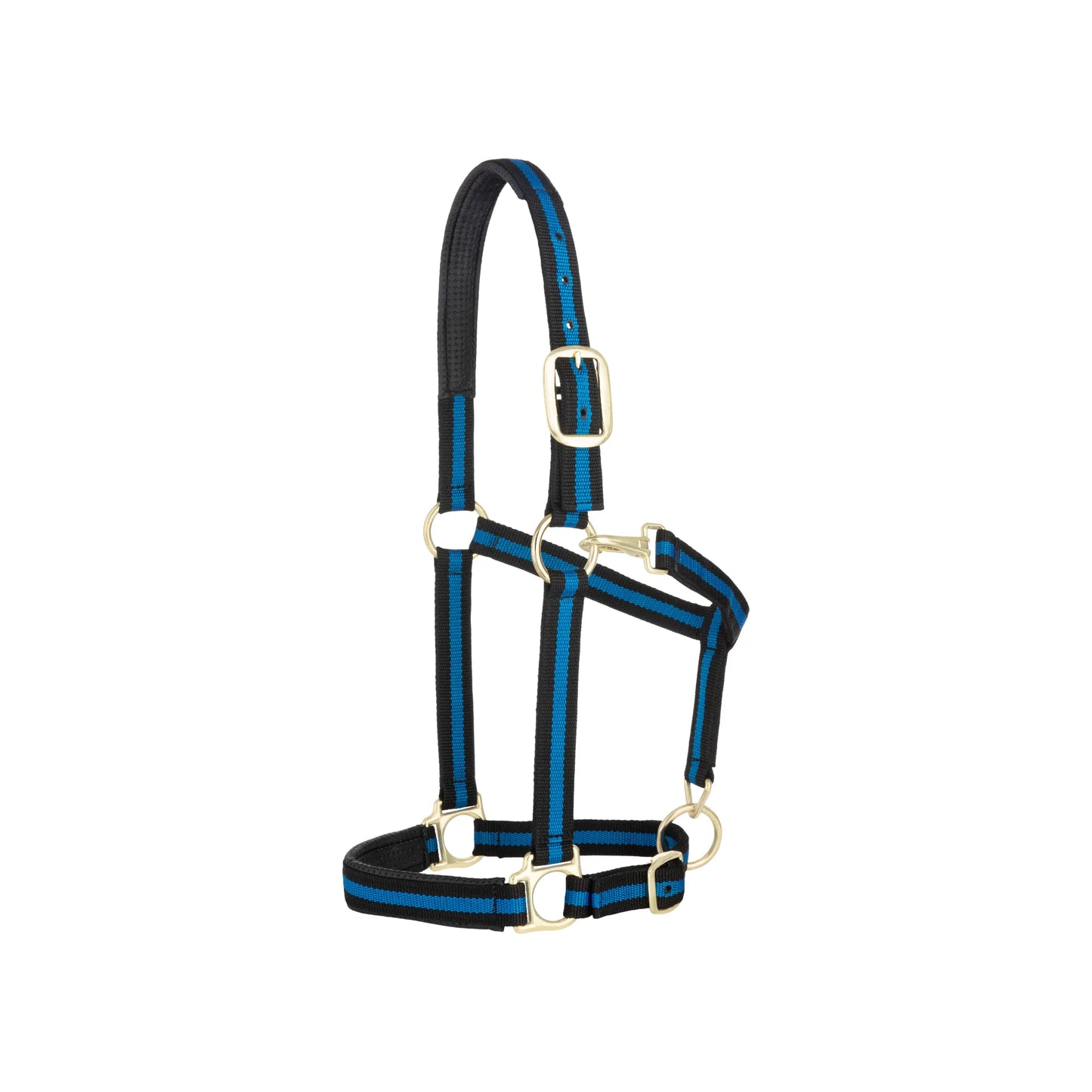 Weaver Leather padded nylon horse halter in a stylish black and royal blue two-tone design. This durable equestrian tack features comfortable padding on the crown and noseband, rust-resistant brass hardware, and an adjustable fit with a convenient throat snap. Perfect for daily use, training, or turnout for average-sized horses.