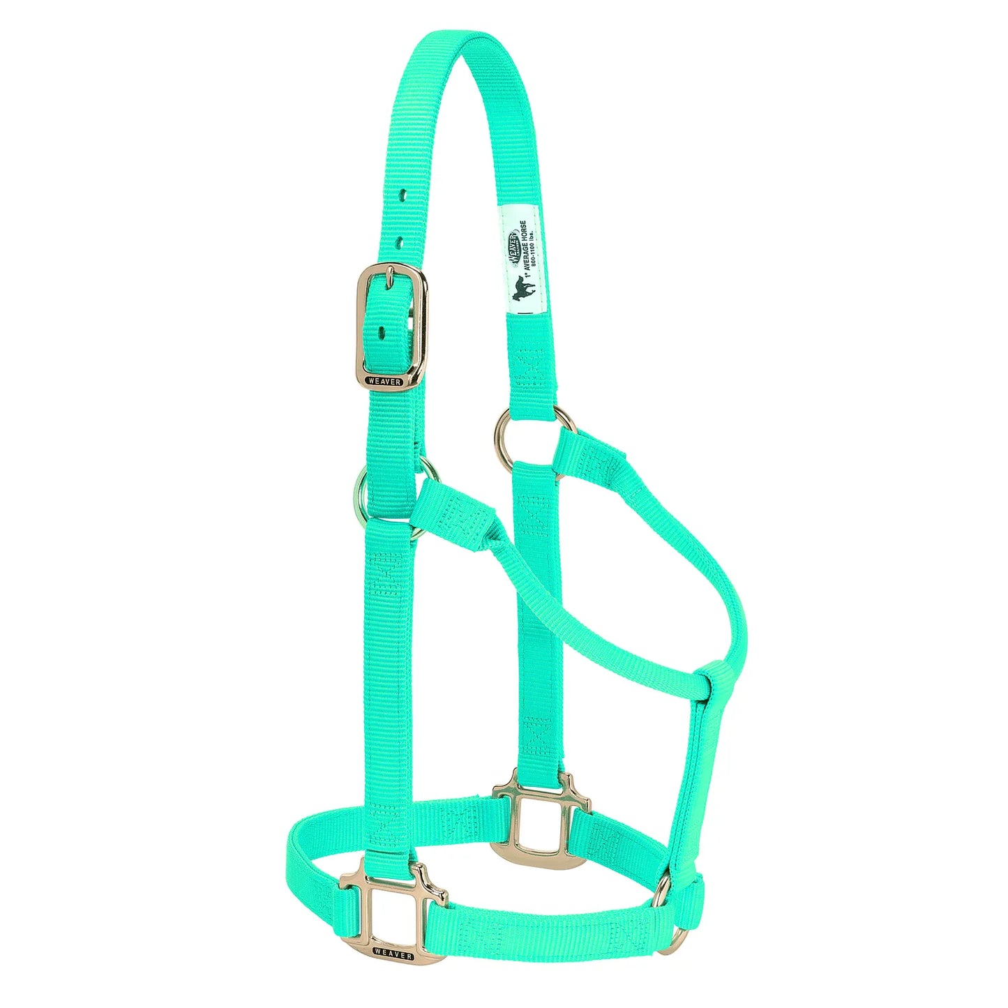 Weaver Leather Original Non-Adjustable 1-inch Horse Halter in vibrant turquoise. This high-quality nylon horse halter features durable brass-plated hardware, a single-buckle crown, and heavy-duty box stitching at stress points for added strength. Designed for average-sized horses, this stylish and sturdy equestrian gear is perfect for everyday barn use, leading, or turnout. A must-have turquoise horse accessory for any rider looking for quality and style.