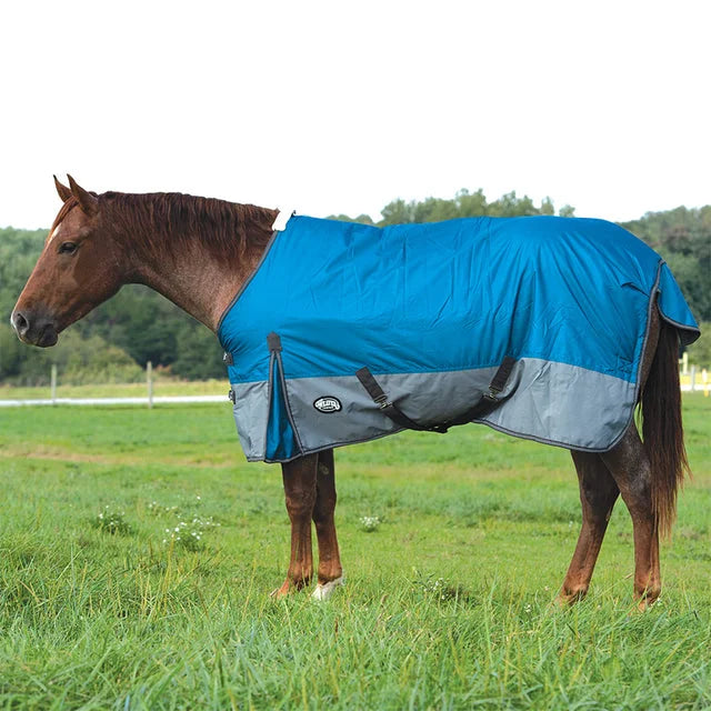 Weaver Leather Premium Horse Blanket - Durable All-Weather Protection - Multiple Sizes