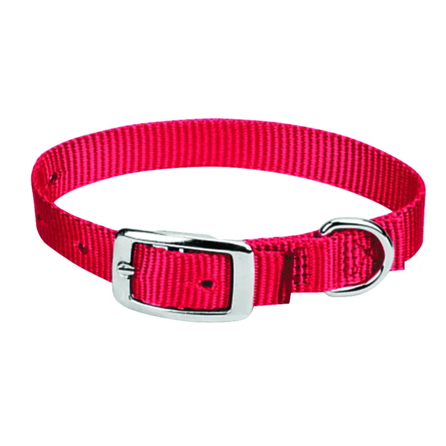 Weaver Leather Prism Choice Collar in vibrant raspberry purple. This durable nylon dog collar features a polished silver buckle and a sturdy D-ring for secure leash attachment. Crafted from heavy-duty webbing with reinforced stitching, it’s a stylish and reliable accessory for active pets. A premium, adjustable pet collar that combines long-lasting performance with a bold pop of color, ideal for everyday wear and outdoor adventures.