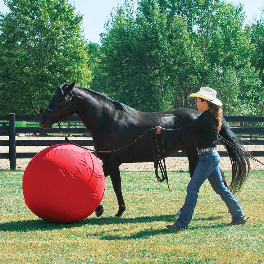 Weaver Leather Stacy Westfall Activity Ball Cover