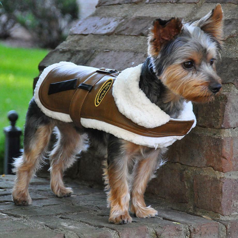 Doggie Design Lined Bomber Brown Faux Leather Jacket Coat Harness w/ Leash