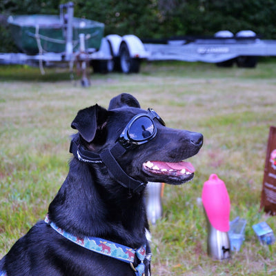LoveWally Dog Goggles Sunglasses Outdoor Adventure Gear - Hooves and Paws