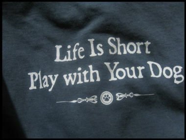 Adult Blue Tshirt - Life Is Short - Hooves and Paws