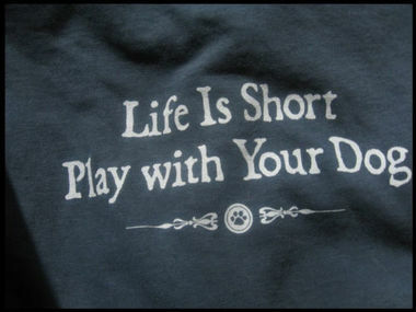 Adult Blue Tshirt - Life Is Short