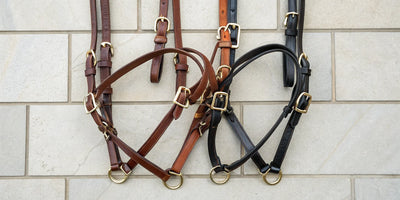 Quality brown and black leather horse halters for sale with brass hardware.