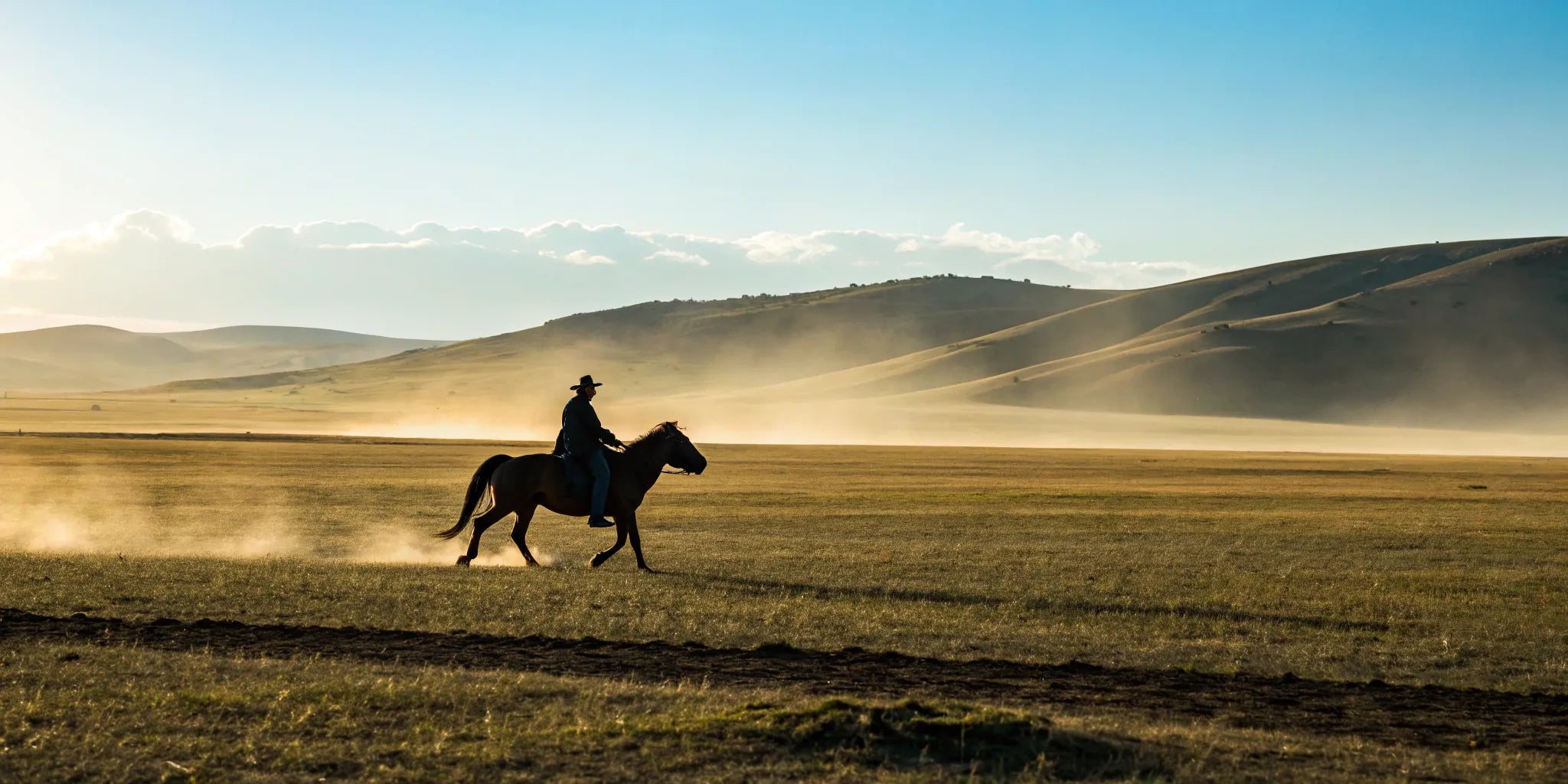 Equestrian rider on horseback wearing spurs in a field at sunset.