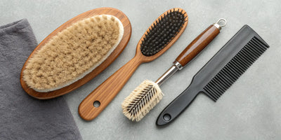 A complete set of the best horse grooming brushes for daily care and a healthy coat.