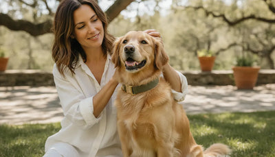Dog wearing a comfortable everyday collar beside its owner