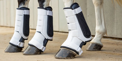 A horse wearing fly boots for leg protection against biting flies and insects.