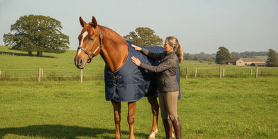 Horse standing calmly in a well-fitted turnout blanket while an owner checks its fit