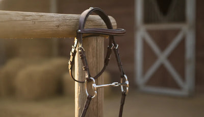 A leather horse bridle and metal bit hanging on a wooden barn railing
