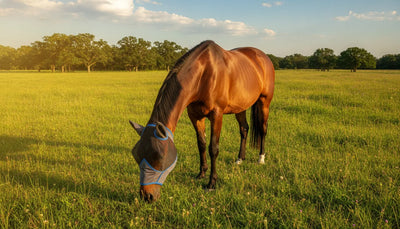 Bay horse wearing a mesh horse fly mask with ears