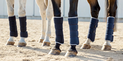 Close-up of a horse's legs with protective wraps, used for purposes like training, travel, or recovery.