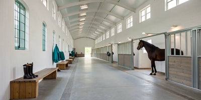 Horse in a stall wearing lightweight leg protection.