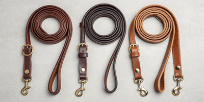 A variety of leather roping reins with quality brass hardware.