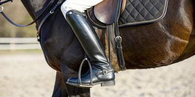 Equestrian spur correctly positioned on the heel of a rider's boot.