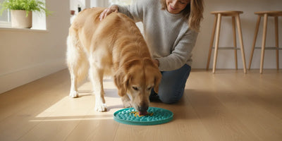 A dog calmly licking a thin layer of food from a textured silicone mat on a clean kitchen floor