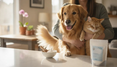Person holding a happy dog and a content cat beside a bowl of probiotic supplement powder on a bright kitchen counter