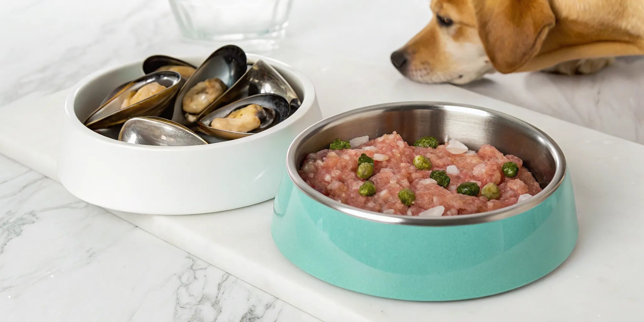 Raw green lipped mussels for dogs in a bowl next to raw dog food.