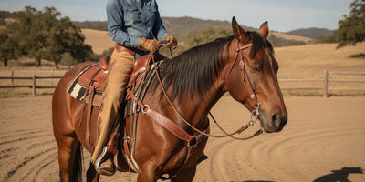 A rider checking roping reins while mounted on a calm horse in an arena