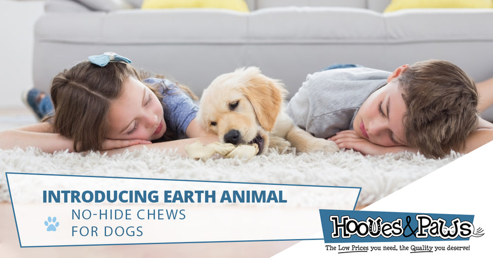 INTRODUCING EARTH ANIMAL NO-HIDE CHEWS FOR DOGS