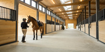 A horse wearing protective leg boots stands with a rider.
