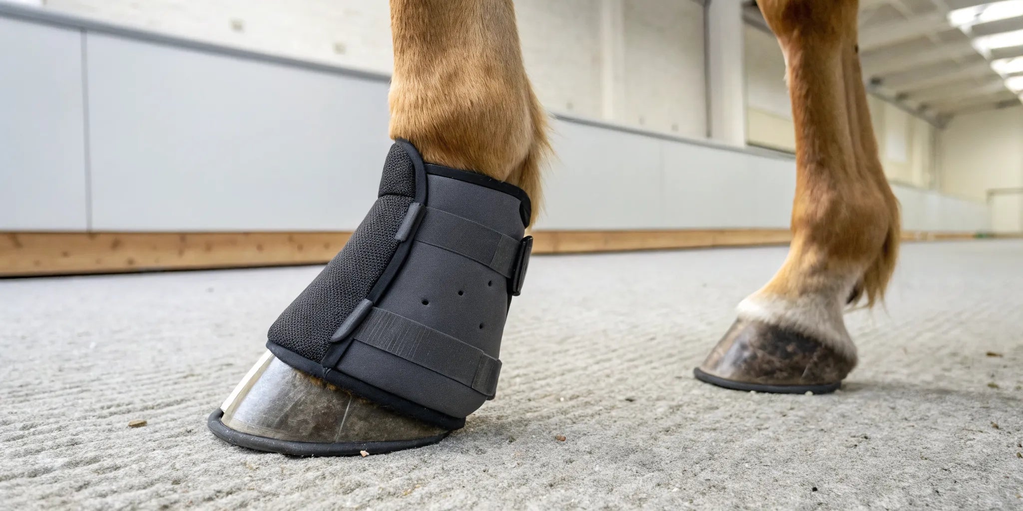 Therapeutic hoof boots for horses offering pain relief, protection, and injury recovery.