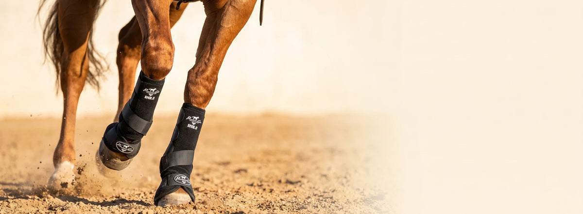 Boot Up 2026 — Professional's Choice SMB boots