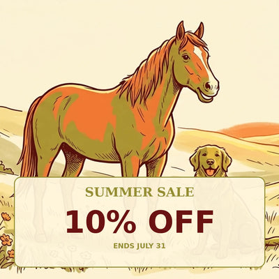 Summer Sale – 10% Off