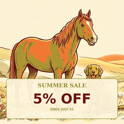Summer Sale – 5% Off