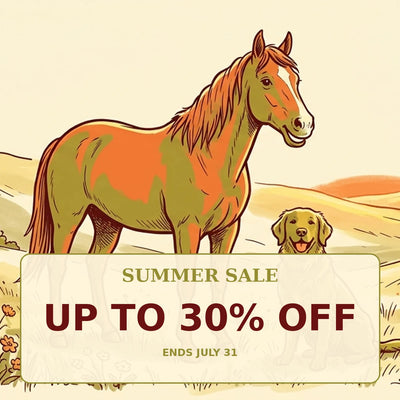 Summer Sale