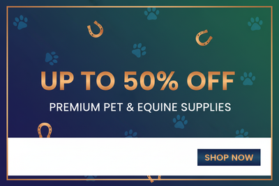 Best Selling Collection