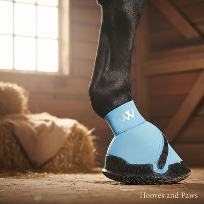 Light blue Myler Woof Wear Medical Hoof Boot #11-2108 on a horse's dark leg, featuring a black textured sole, side zipper, and silver 'WW' logo, in a barn.