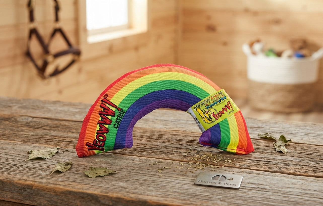 Lifestyle photo of Ducky World Yeowww! Rainbow Organic Catnip Toy - 6 inch - 100% Organic Catnip - Made in USA