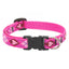 LupinePet Dog Collar: Lifetime Guarantee, Adjustable, & Stylish Designs